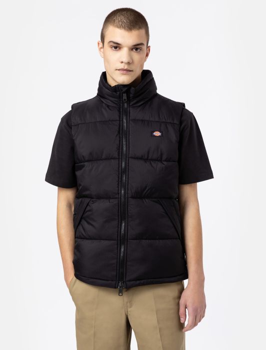 Dickies smanicato uomo dk0a4y2kblk1