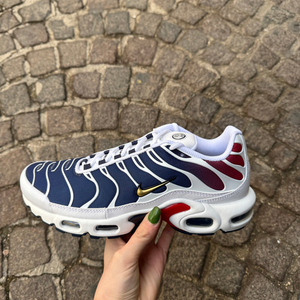 Nike air max plus PSG fz4776 100