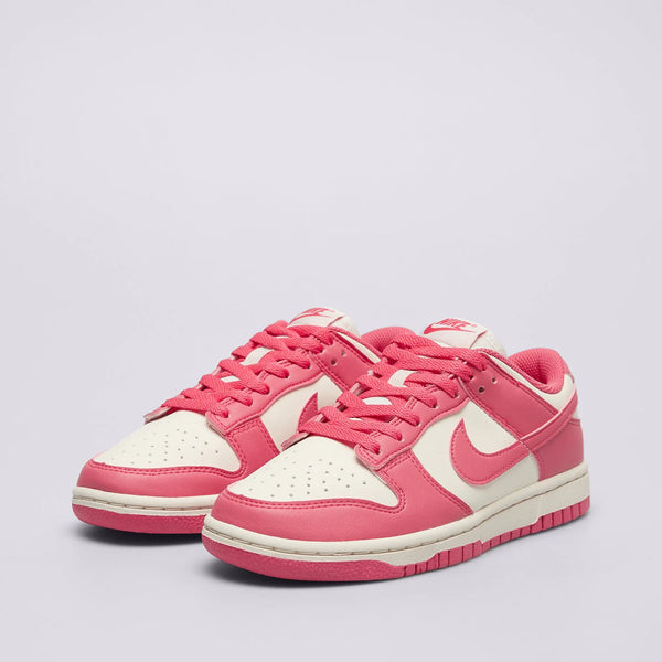 Nike dunk low dd1873 600