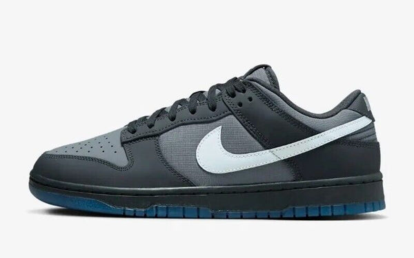 Nike dunk low fv0384 001