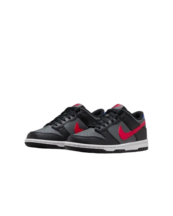 Nike dunk low gs fv0373 001