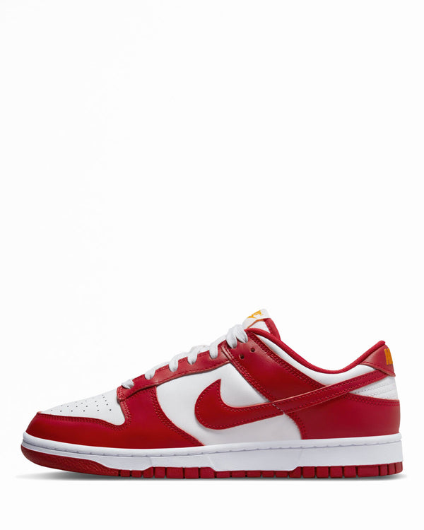 Nike dunk low dd1391 602