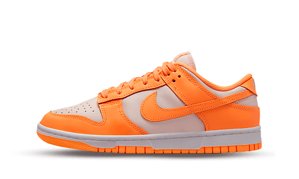 Nike dunk low dd1503 801