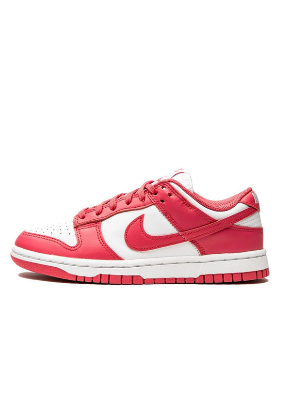 Nike Dunk Low dd1503 111